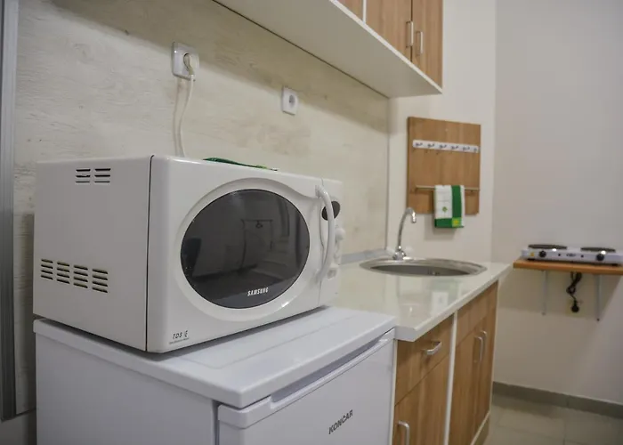 Allegro Dream Вране