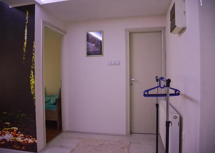 Allegro Dream Вране